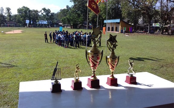 cricket tournament