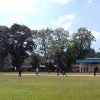 cricket tournament
